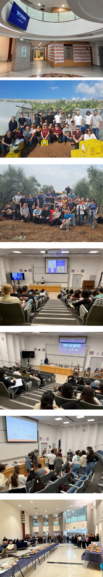 Let there be light - pictures